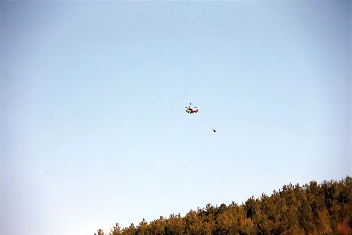 cinede orman yangini kontrol altina alindi RmfeDXJN