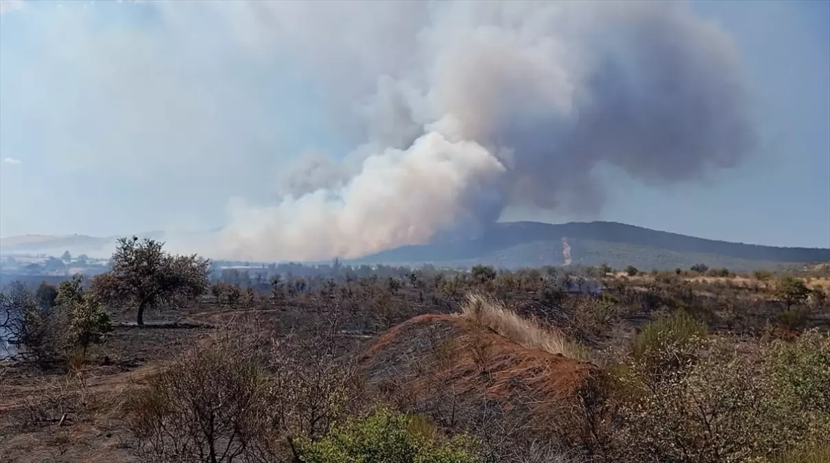 geliboluda tarim arazisinde yangin QSJKU7aQ