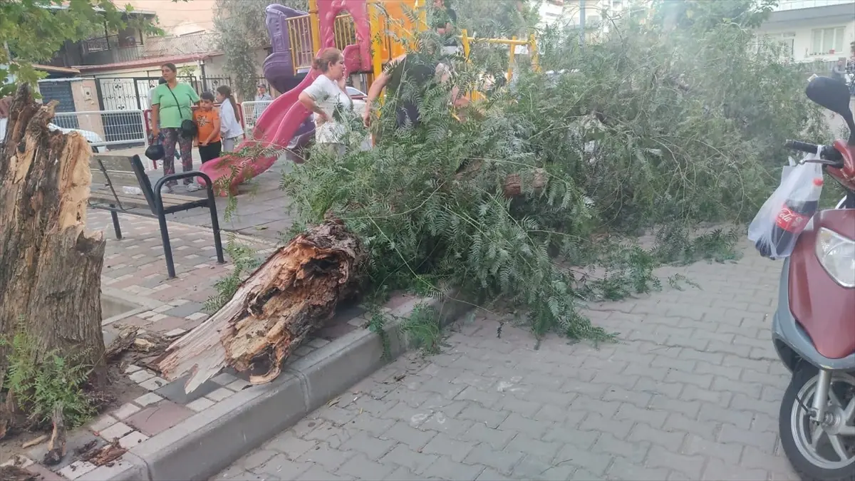 ruzgar devrilen agac altinda 2 kadin yaralandi UZ2uiPc1