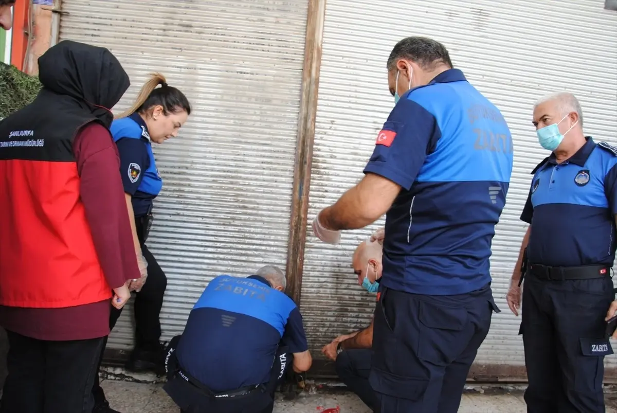 sanliurfada 1 ton bozulmus et ele gecirildi eXb6lXHv.jpg