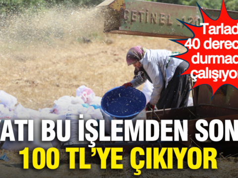 Fiyati bu islemden sonra 100 tlye cikiyor tarlada 40 derecede durmadan calisiyorlar LPI1SpqZ